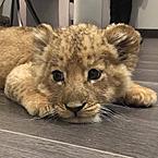 Bakhtiyar Ikpalbayev