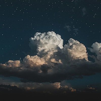 Зебир Зубров