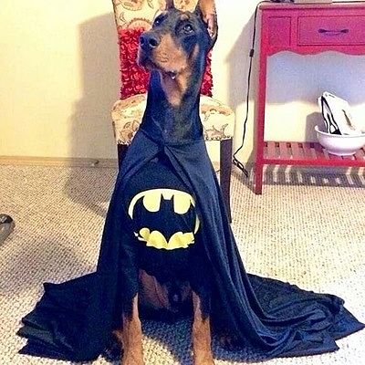 Ника Журавлёва