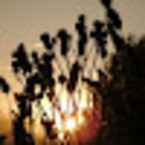 Полина Снегова