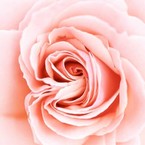 Айым Счастливая