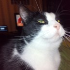 Александра Землякова