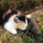 Ильмира Хасанова