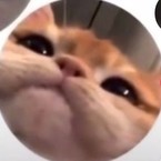 Катерина Павленко