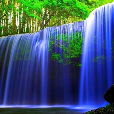 Елена Сметанникова