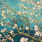 Ольга Корсакова