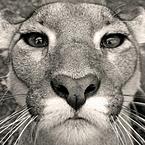 Катерина Катаева