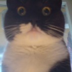 Артур Минин