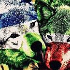 Ринат Умяров