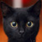 Даша Котельникова