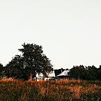 Ксения Рамонович