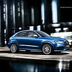 Елена Баркова