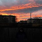 Владислав Циммерман