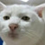 Фуат Cабиров