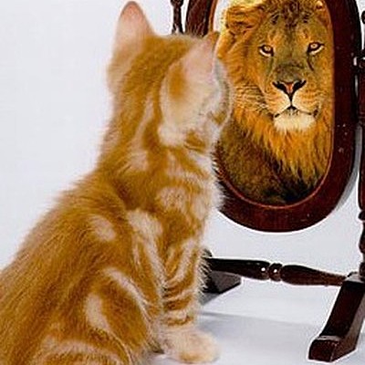 Татьяна Корнабедова