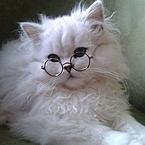 Хатуль Мадан