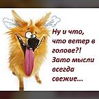 Алёна Никишина