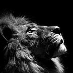 Андрей Порохов