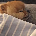 Юлий Андреев