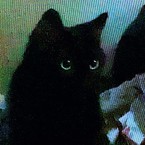 Варя Киселёва