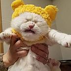 Саша Де-Пой