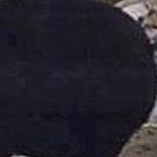 Михуил Шляпков