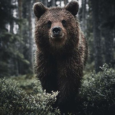 Вася Пупкин