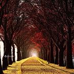 Александр Федосеев