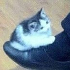 Галина Бахур