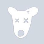 Закир Магомедов