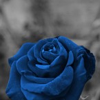 Укропчик Тян