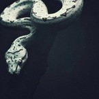 Артур Григорян