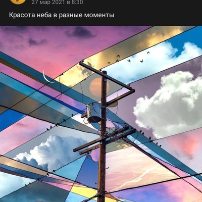 Анна Подшибякина