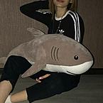 Алина Вишневецкая