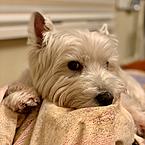 Екатерина Николаева