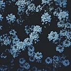 Маша Марчук