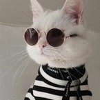 Настя Корнейчук