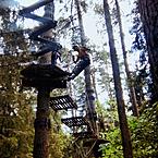 Дима Норманев