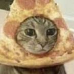 Артём Каданцев