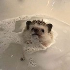 Карина Герасимова