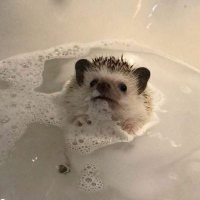 Карина Герасимова