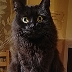 Сергей Григорьев