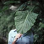 Елена Волыхина