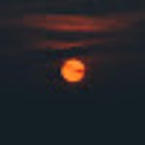 Диана Пузина