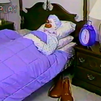 Лох Цветочный