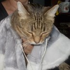 Арина Воробьева