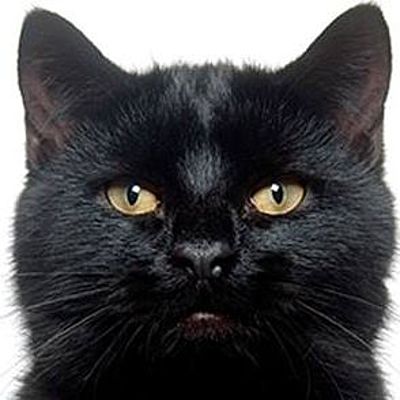 Тайгер Пупс