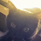 Таня Плотникова