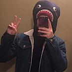 Алиса Сербина