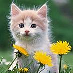 Виктория Ежинская